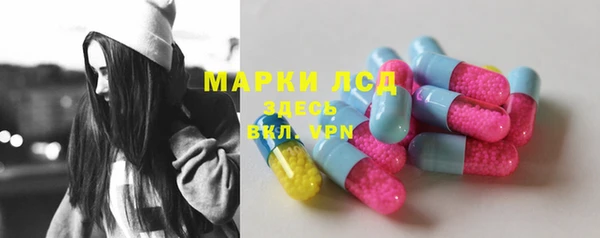 мяу мяу мука Баксан